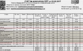 Общество