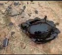 Сахалинский следком организовал проверку по информации о гибели уток в нефтяном озере