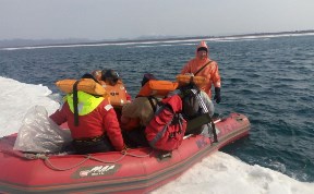 С оторвавшихся льдин на юге Сахалина вывезли 54 человека