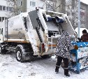 На Сахалине из синих контейнеров в феврале собрали 200 тонн отходов