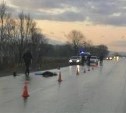 Женщина погибла под колесами автомобиля в районе Старорусского