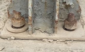 Общество