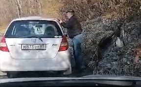 Происшествия