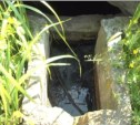 Неочищенные канализационные воды сливаются в реку в районе Анивы (ВИДЕО)