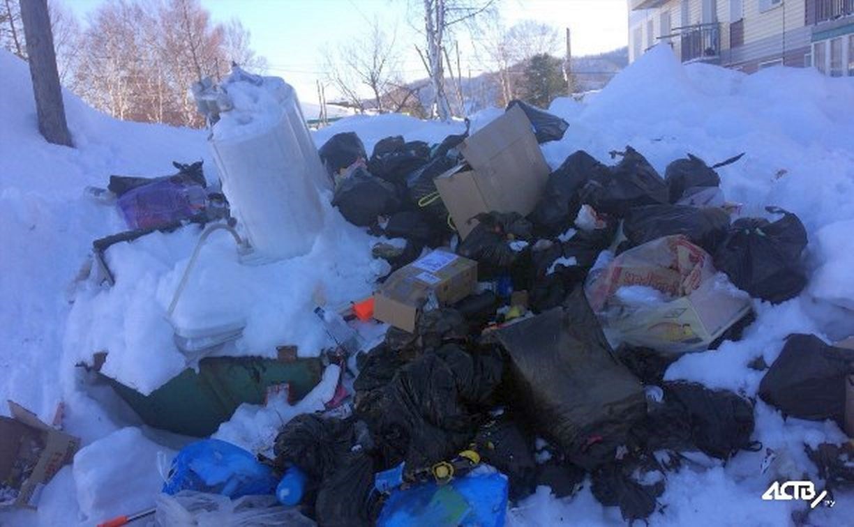 В семи муниципалитетах Сахалинской области остановили вывоз мусора: список районов