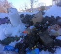 В семи муниципалитетах Сахалинской области остановили вывоз мусора: список районов