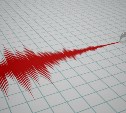 Землетрясение зафиксировали в Невельском районе