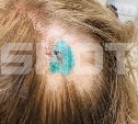 На Сахалине чайка напала на туристку у маяка Анива