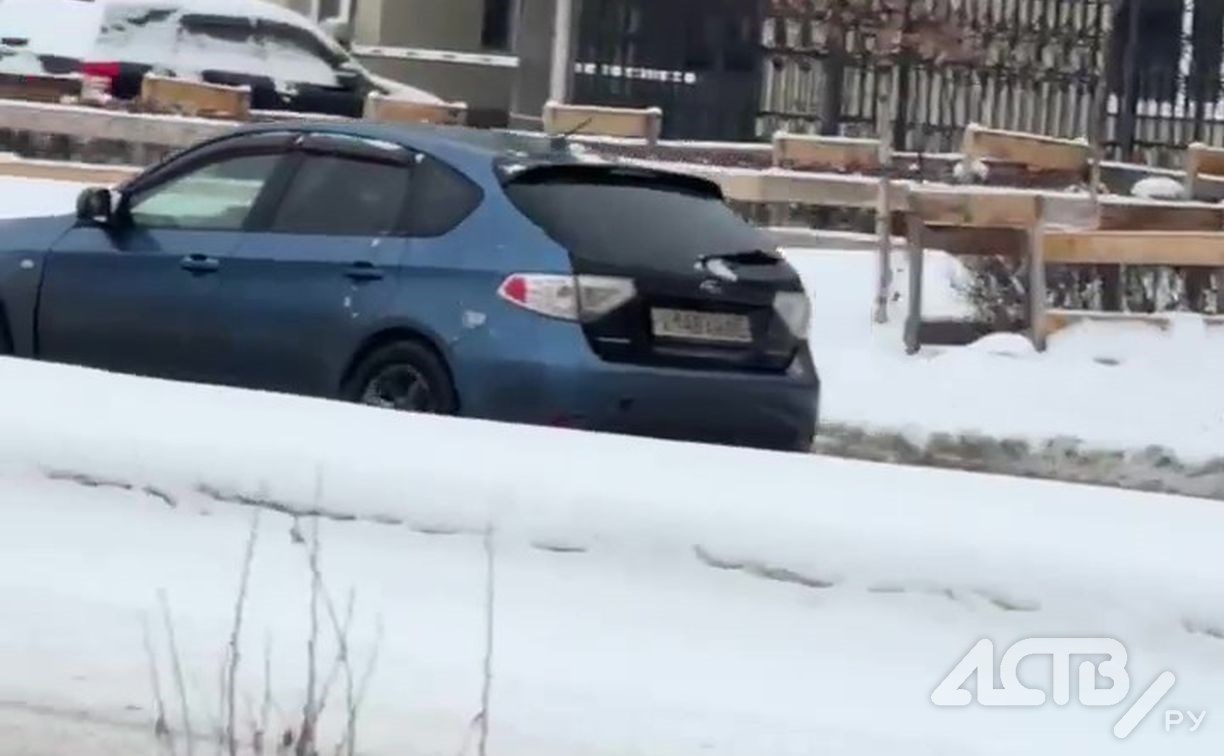 Автомобилистка в Южно-Сахалинске сбила и несколько метров протащила на капоте собаку пенсионерки