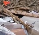 "Хлам вместо пляжа": свалка строительного мусора образовалась на побережье Сахалина