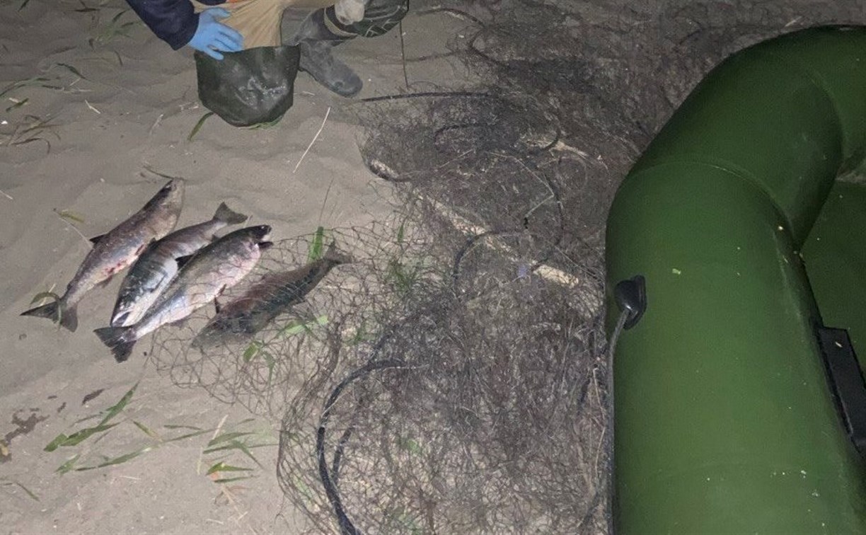Инспекторы задержали на сахалинских реках трех браконьеров и сняли чьи-то ставные сети