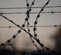 Родственники сахалинских заключенных бьют тревогу из-за COVID-19 у сотрудника УФСИН 