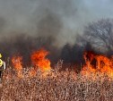 Весенний пал тушили пожарные у Стародубского