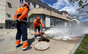 Общество