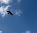 На Сахалине тепло и ясно, а на Курилах дожди и облака: прогноз погоды для региона на 19 сентября