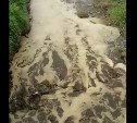 Минэкологии Сахалинской области объяснило, откуда взялись фекальные реки в Анивском районе
