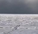 "Скоро попрём за зубарём": ледовое поле подходит к юго-восточному побережью Сахалина