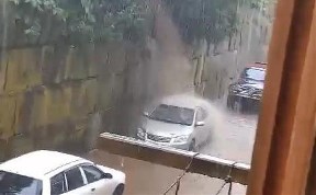 Общество