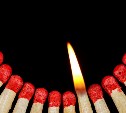 В Сахалинской области с начала пожароопасного сезона зарегистрировано шесть лесных пожаров