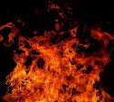 Высокая пожарная опасность ожидается в четырех районах Сахалинской области