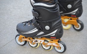 Спорт
