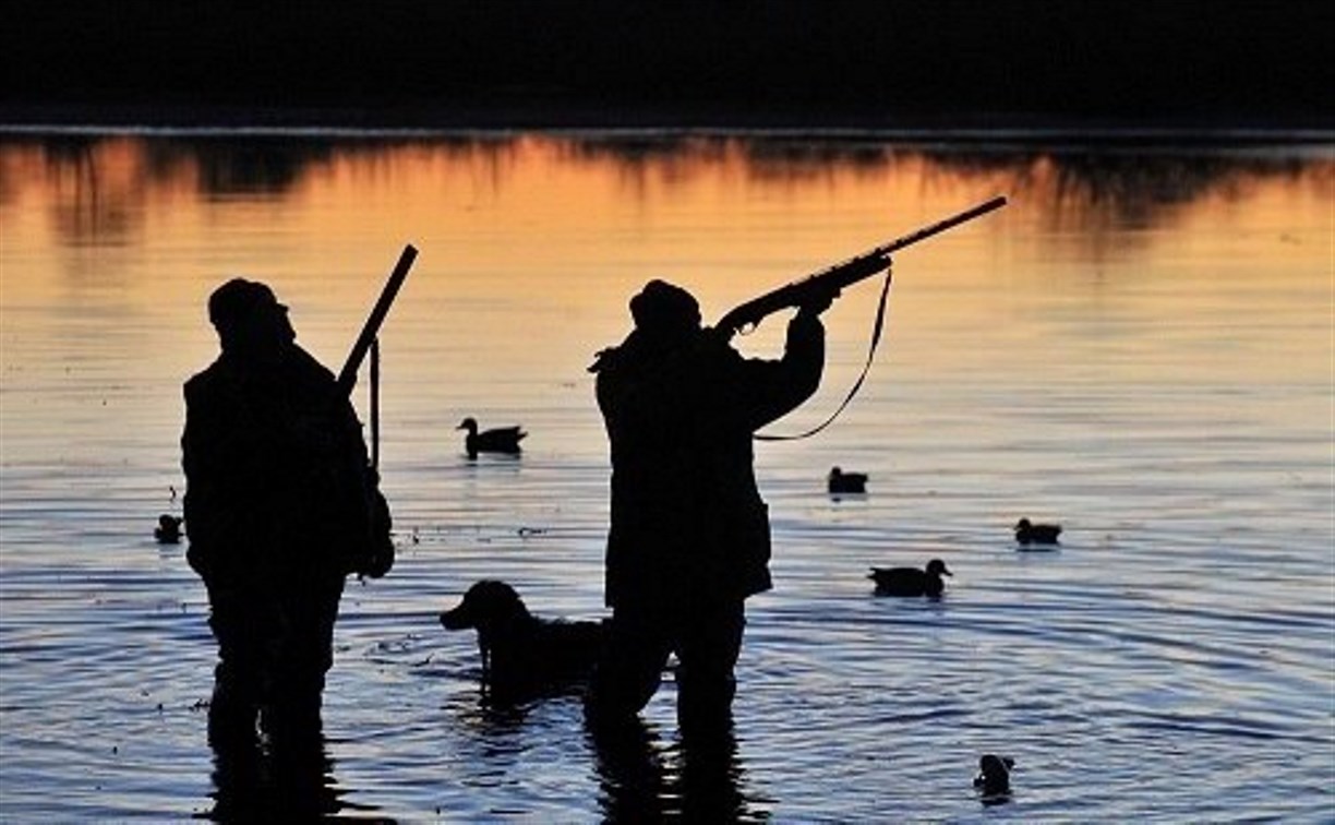 Сроки охоты на пернатую дичь озвучили в Сахалинской области