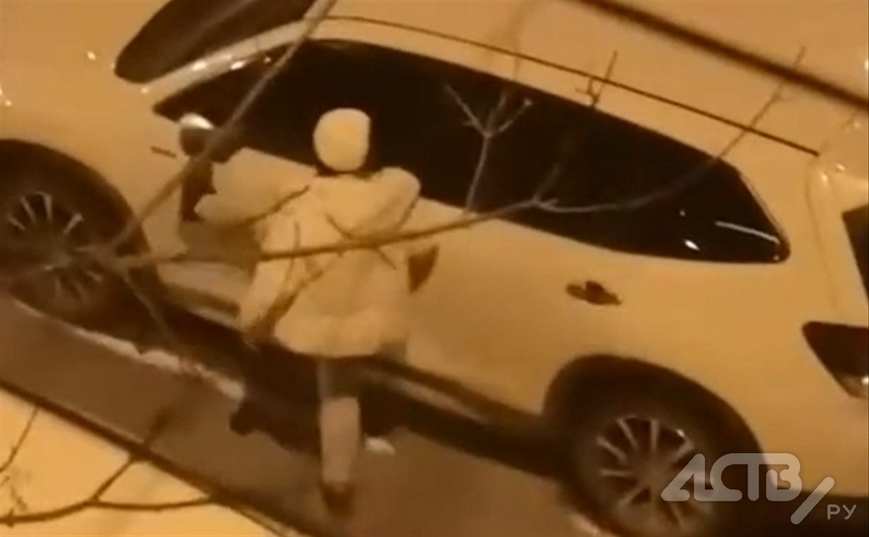 Жительница Южно-Сахалинска пригласила автомобиль на танец, а потом отпинала его
