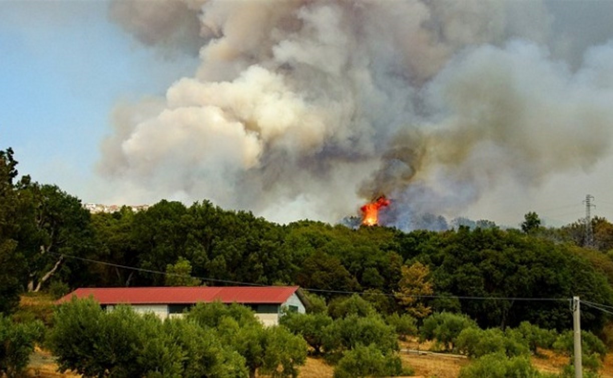 В двух районах Сахалина прогнозируют 4 класс пожарной опасности