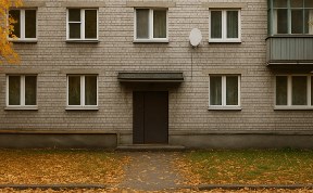 Общество