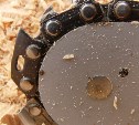 20-летнего похитителя бензопилы оперативно поймали в Южно-Сахалинске 
