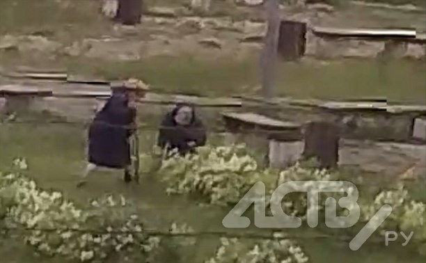 Две дамы солидного возраста выкопали и утащили декоративный куст из сквера в Тымовском
