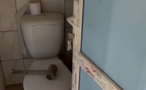 Общество