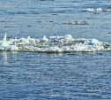 Лед в заливе Мордвинова продолжает разрушаться