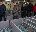 Три животноводческих комплекса начнут работу на Сахалине в 2017 году