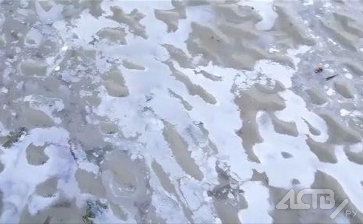 Масляной плёнкой покрылось морское побережье в Макаровском районе