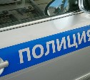 Полиция Южно-Сахалинска просит откликнуться владельцев детских колясок