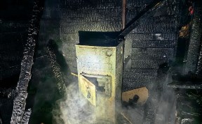 Происшествия
