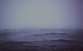 Происшествия