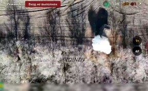 Общество