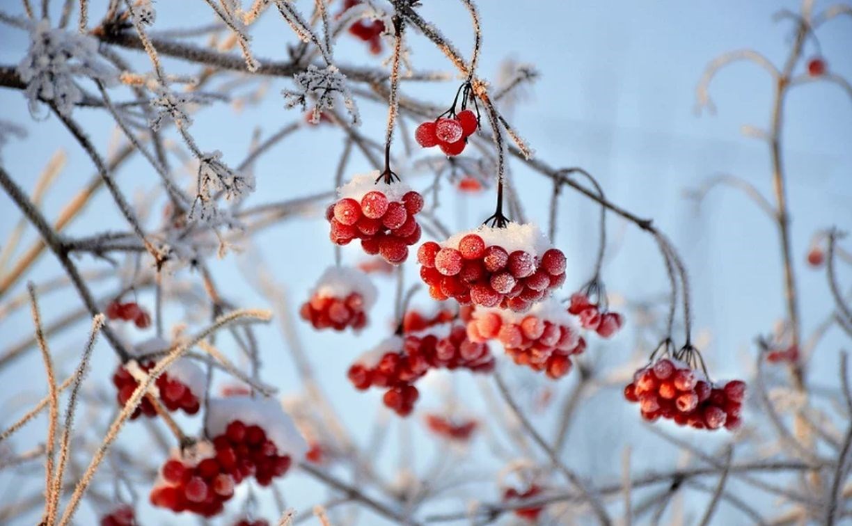 До -27 и снежно: какая погода будет в Сахалинской области 24 декабря