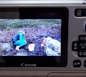 Жительница Южно-Сахалинска нашла фотоаппарат и разыскивает владельца по снимкам