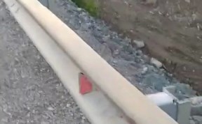 Общество