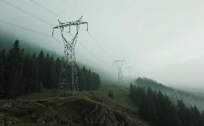 Общество