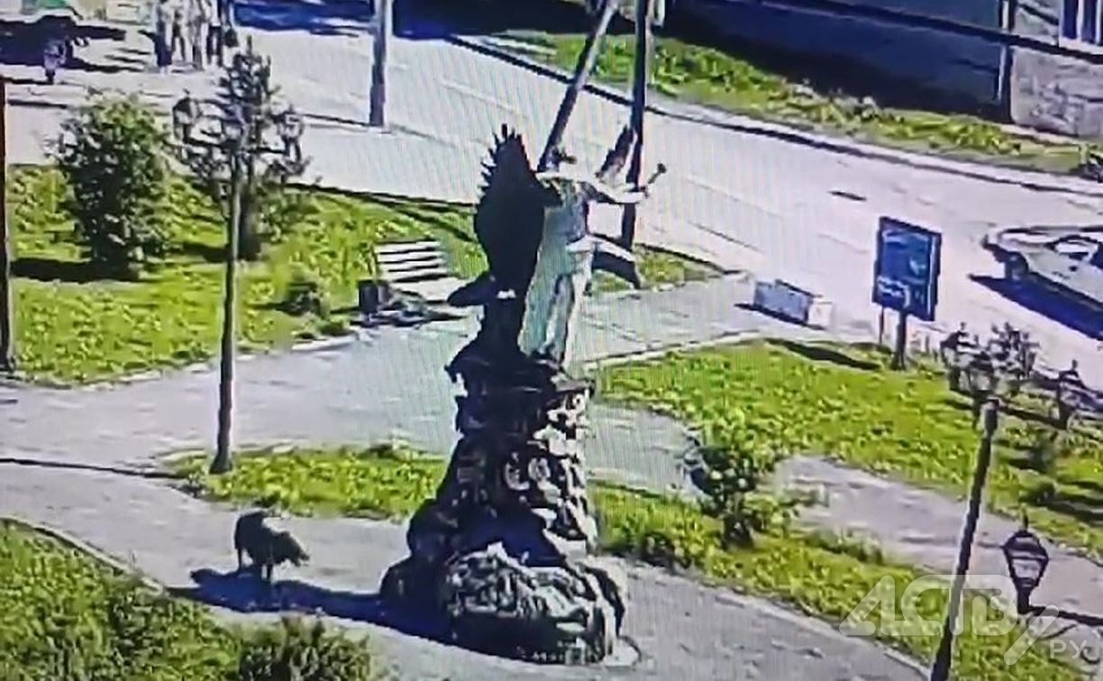 Полиция нашла мужчину, который разбил орла в Корсаковском районе