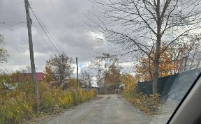 Общество