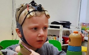 Общество
