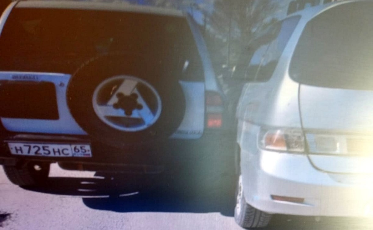 Очевидцев ДТП с Suzuki Escudo и Toyota Gaia на пр. Мира разыскивают в Южно-Сахалинске 