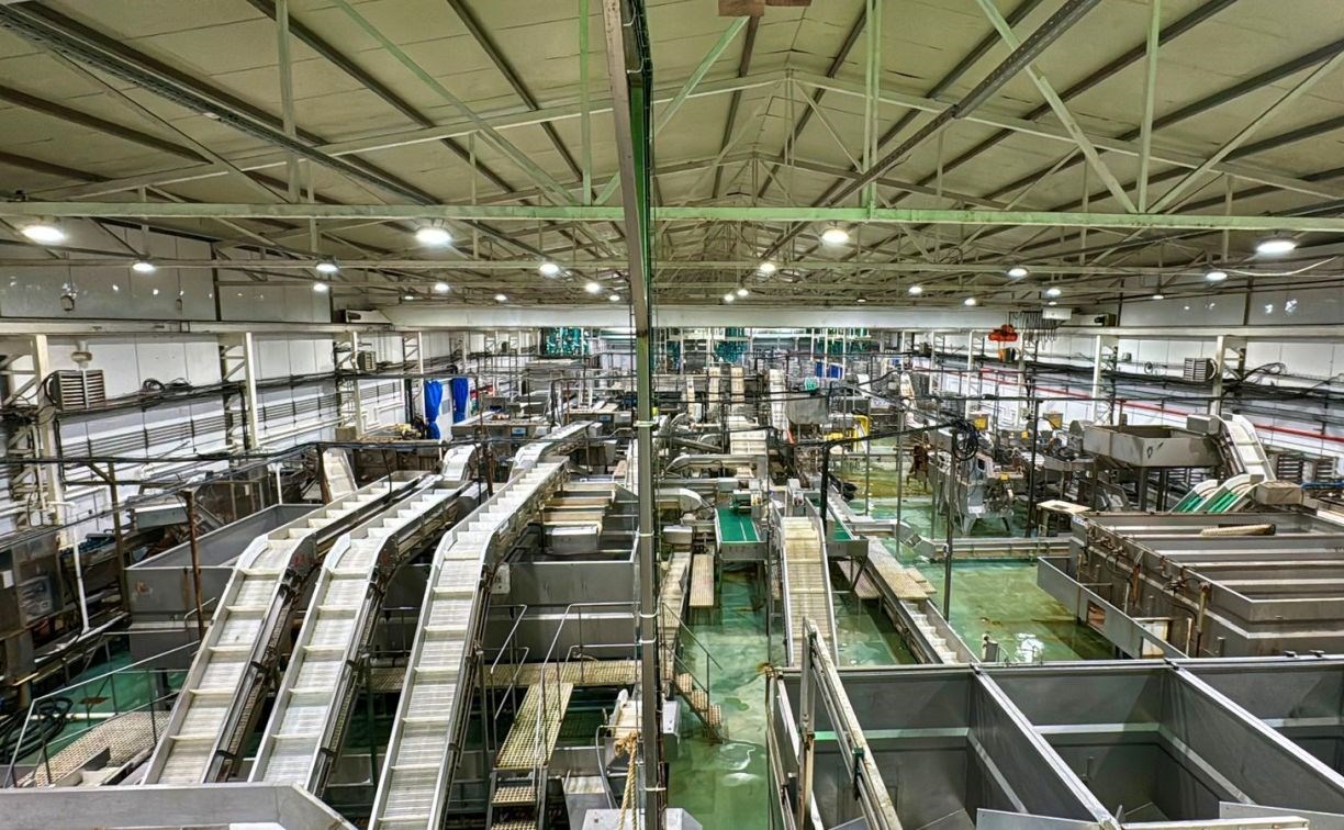 Количество рабочих мест на рыбокомбинате "Островной" на Шикотане увеличится почти вдвое