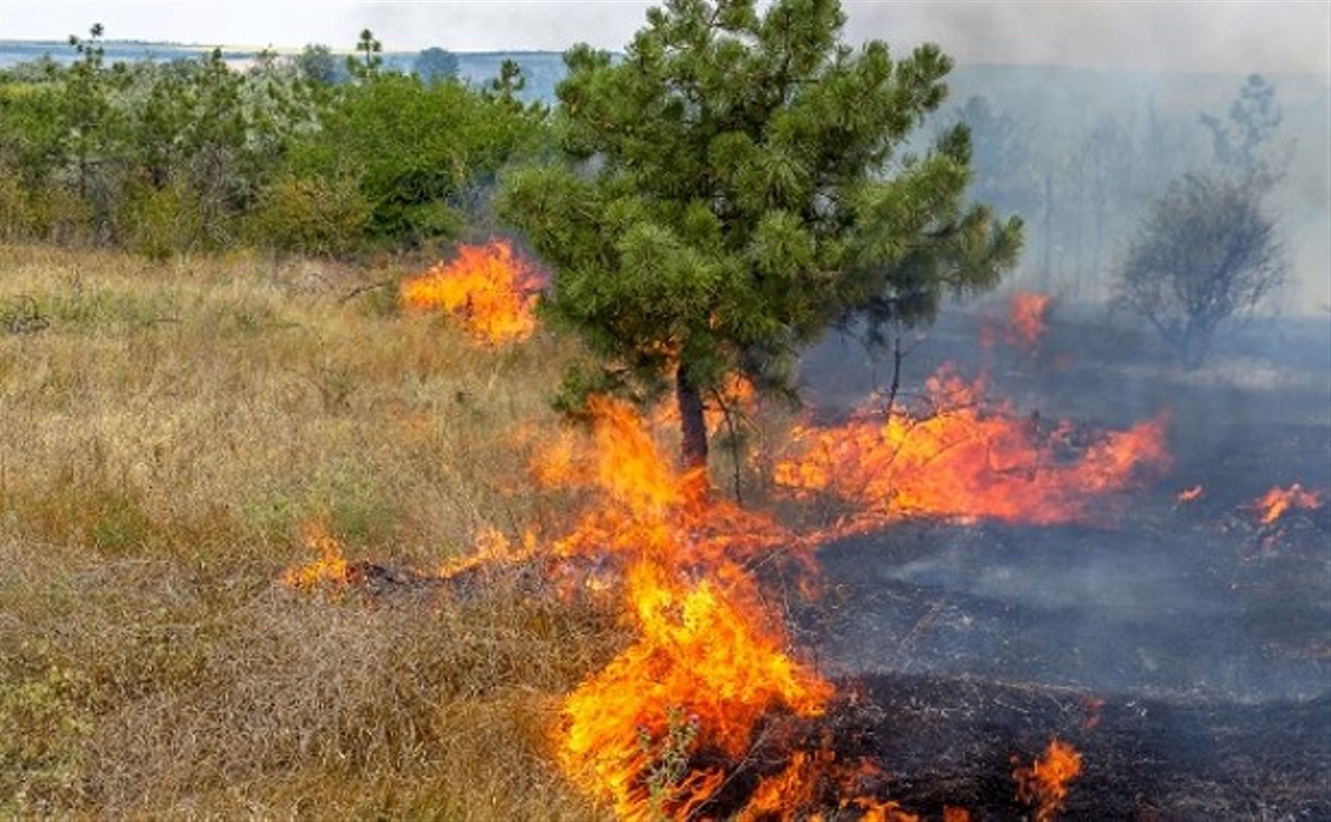 Люди и вертолёты тушат лесной пожар в Смирныховском районе