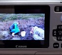 Сахалинцы помогли разыскать владельца фотоаппарата, потерянного 2 года назад